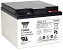 Akumulator YUASA NPL 12V-24 Ah (C20) AGM