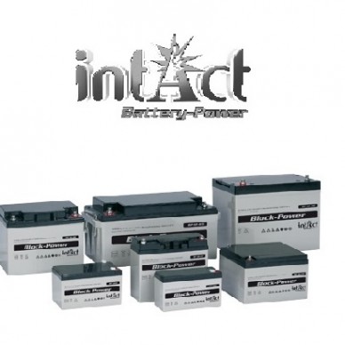 intAct Block-Power AGM batteries